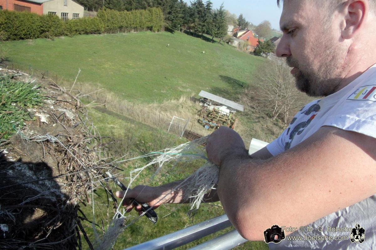 Reinigung eines Storchennestes