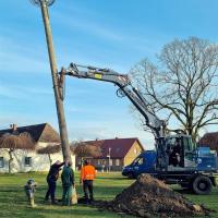 Neubau eines Storchennestes inklusive Mast