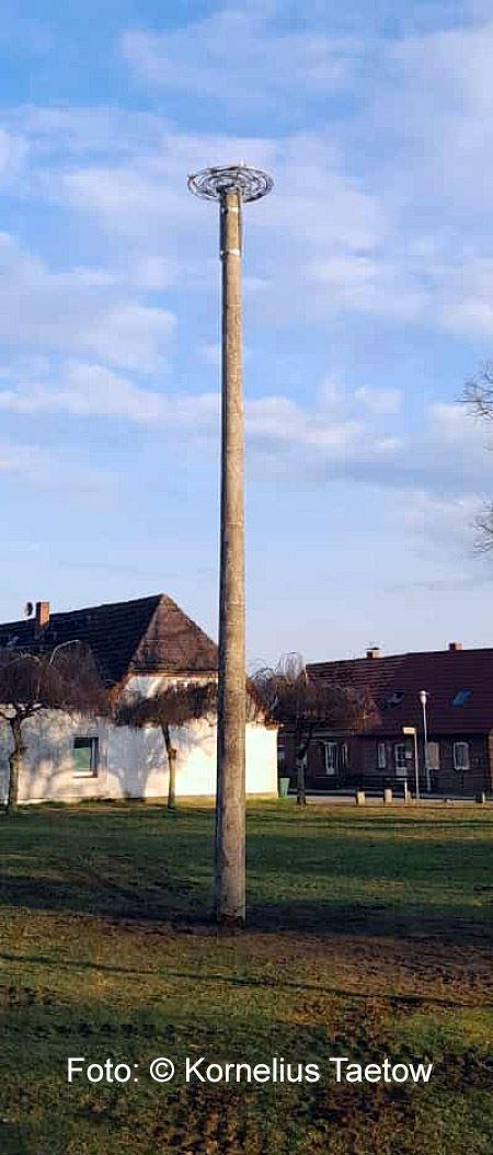 Neubau eines Storchennestes inklusive Mast