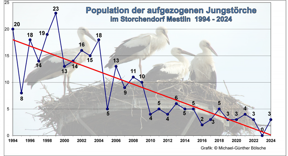 Diagramm der Storchenpopulation in Mestlin